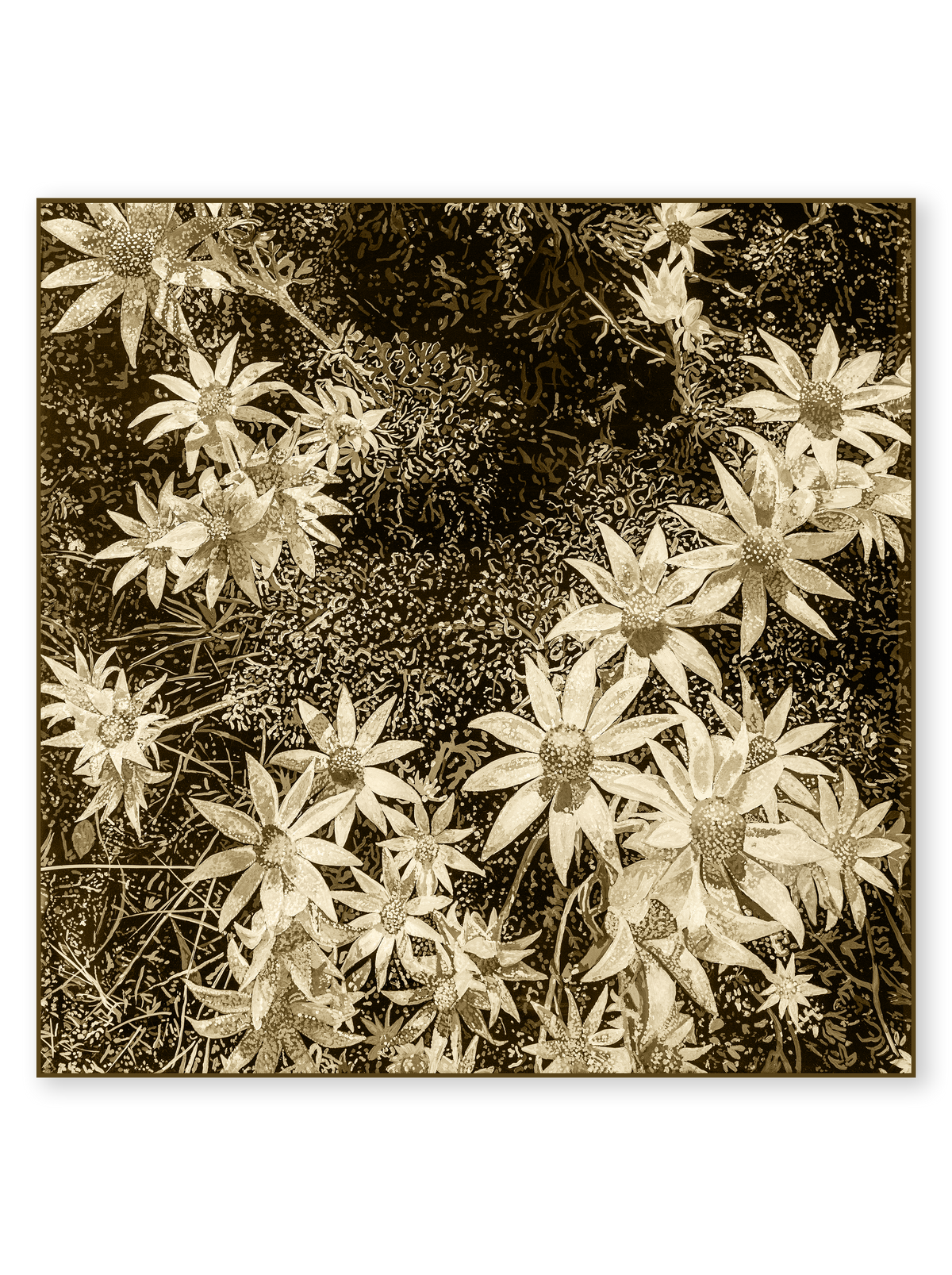 "Into the Mystic - Sepia" 70x70cm Square Silk Scarf